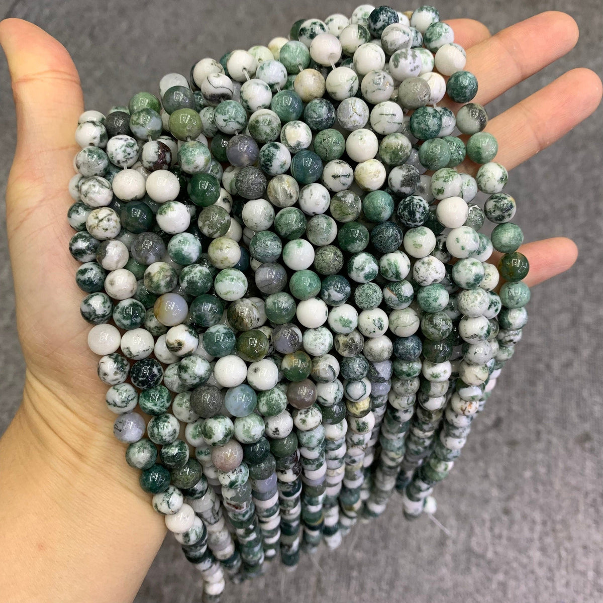 Natural Tree Agate Round Beads 6mm 8mm 10mm Tree Agate Smooth Bead for Jewelry DIY Making Strand 15.5" Garde AAA