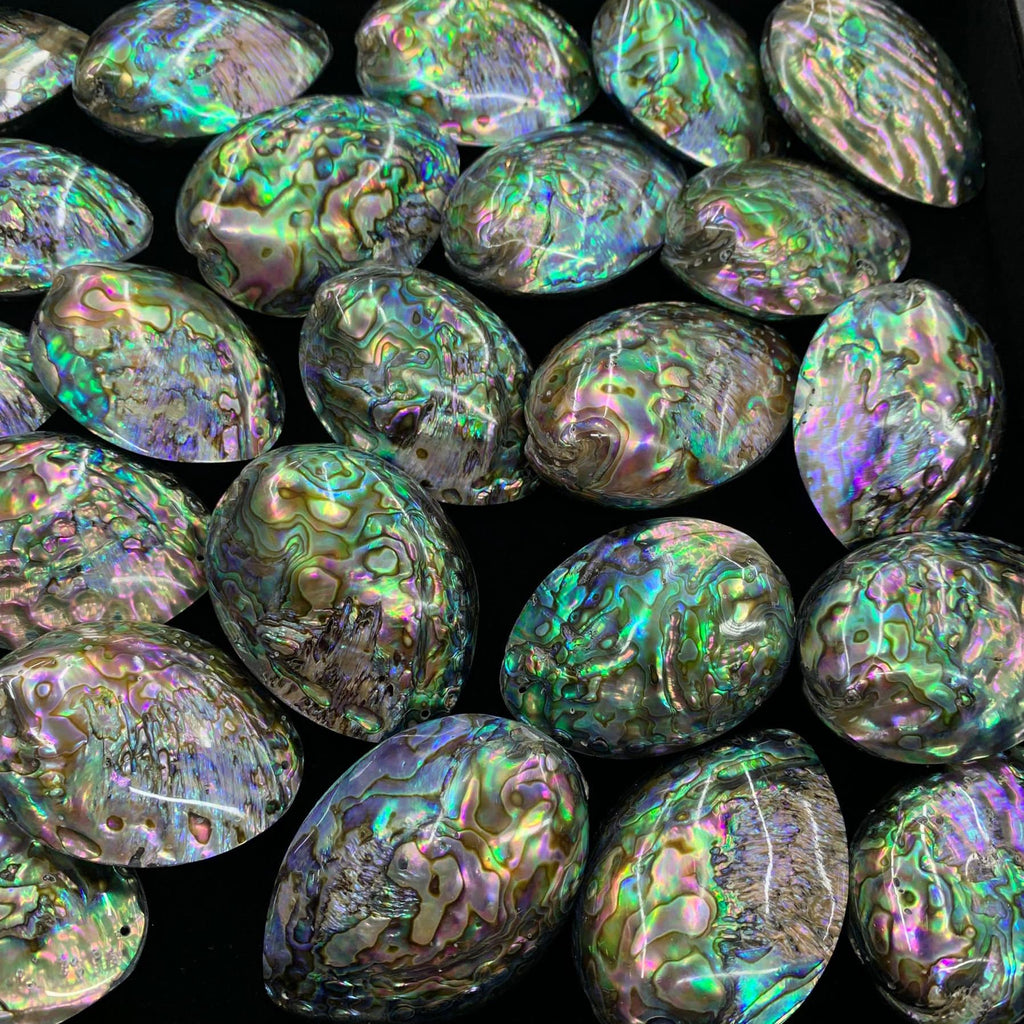 1PC Whole Abalone Shell Pendant with Hole Size Approx 42*56mm Rainbow Seashell （Double Side）